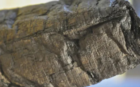 Scientists digitally "unroll" ancient scroll scorched by Mount Vesuvius