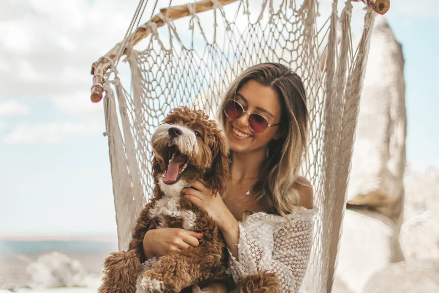 Our furry friends and faithful companions