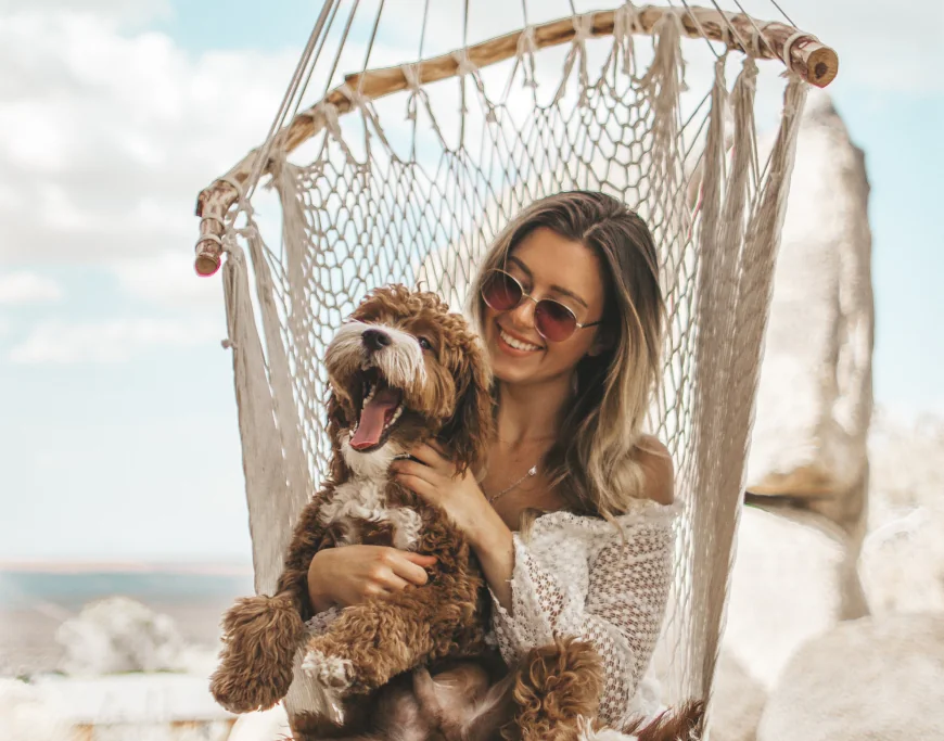 Our furry friends and faithful companions