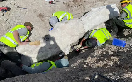 Fossils found at Dinosaur National Monument, first excavation in 100 years