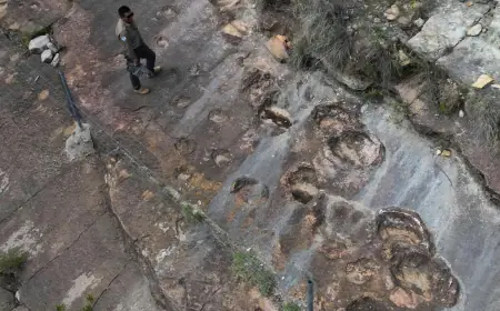 Fossil footprints in Bolivia reveal dinosaurs' awkward attempts to swim